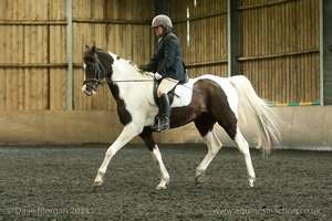 Isis Dressage Crown Farm Show 29th April 2012